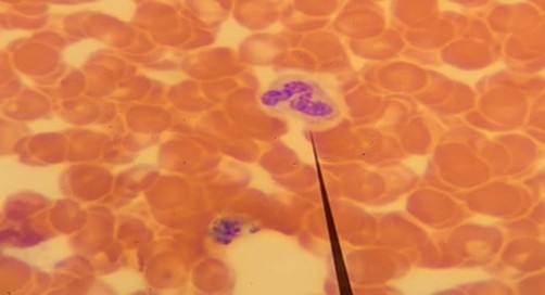 sanat, kalıp, desen, düzen içeren bir resimAçıklama otomatik olarak düşük güvenilirlik düzeyiyle oluşturuldu